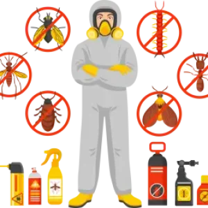 kartevoirta_rovarirtas_fertotlenites_bogarirtas