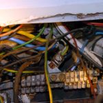 egerirtas_patkanyirtas_ragcsaloirtas