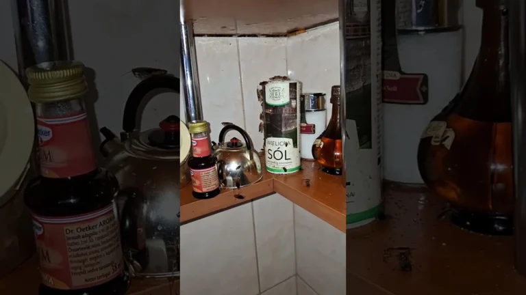 Kombinált csótányirtás: permetezés és gélezés folyamata