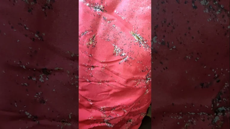 ágyi poloska irtás ágyban