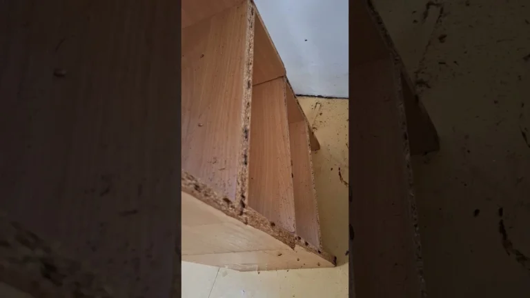 Csótányirtás eredménye és hatékonyságának ellenőrzése